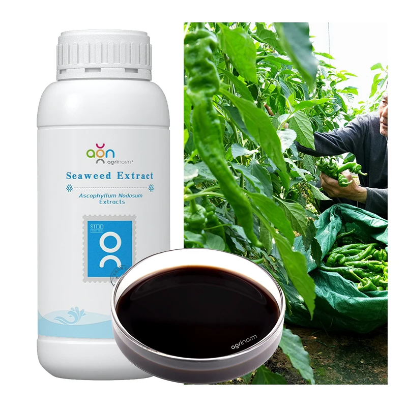High Grade 100% Water Soluble Seaweed Extract Liquid Organic Garden Fertilizer For Agricultura