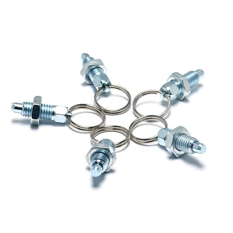 GN717 Steel M6 M8 M10 M12 M16 Pull Ring Indexing Plunger