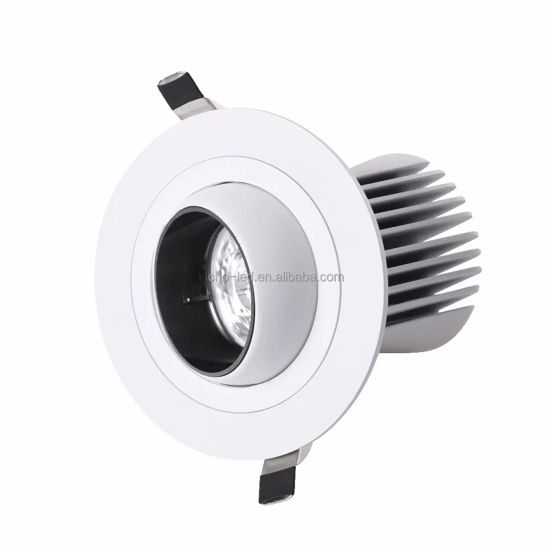 10w Gimbal ceiling light 2.jpg