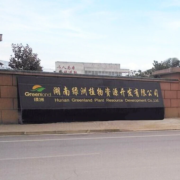 Top Grade Hedera Helix Extract 10% Dried Ivy Leaf Extract With Cheap Price