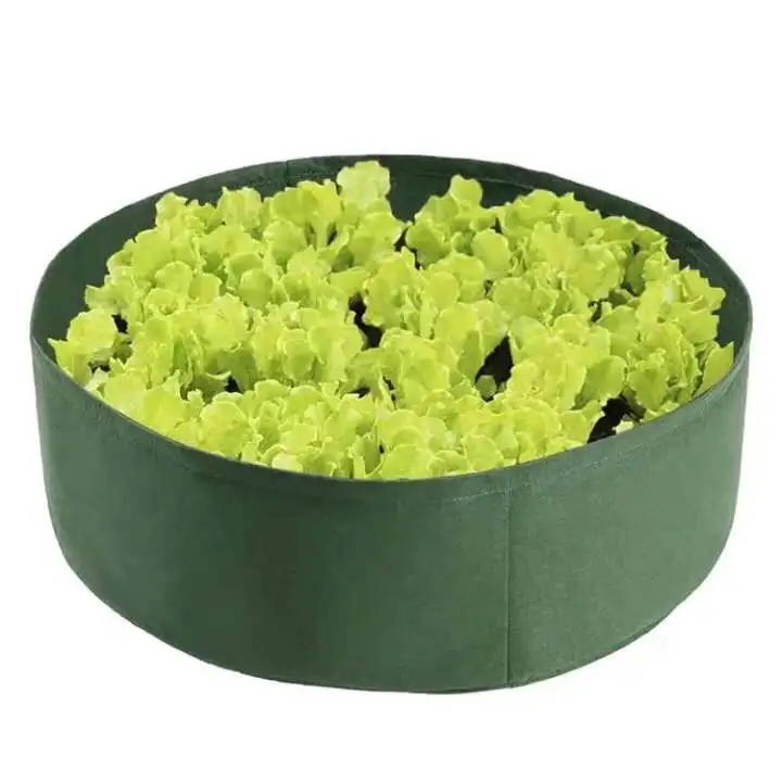 Eco-friendly 100% wool felt, polyester felt for storage, pet house