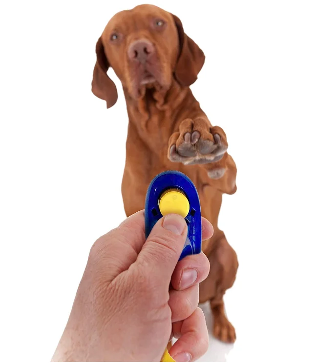 Kingtale Coolrunner Universal Animal dog clicker pet training with Wrist Bands Strap