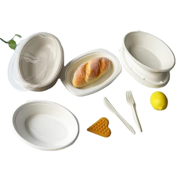 Compostable 10 inch oval plate bagasse high quality bagasse pulp sheet bagasse materials tableware