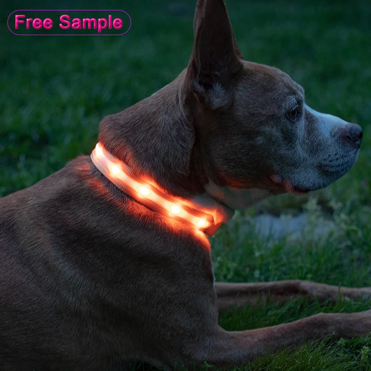 Pet LED Dog Collars Charge Nylon Flashing Light Up Led Dog Collar for Light Up Led Collars