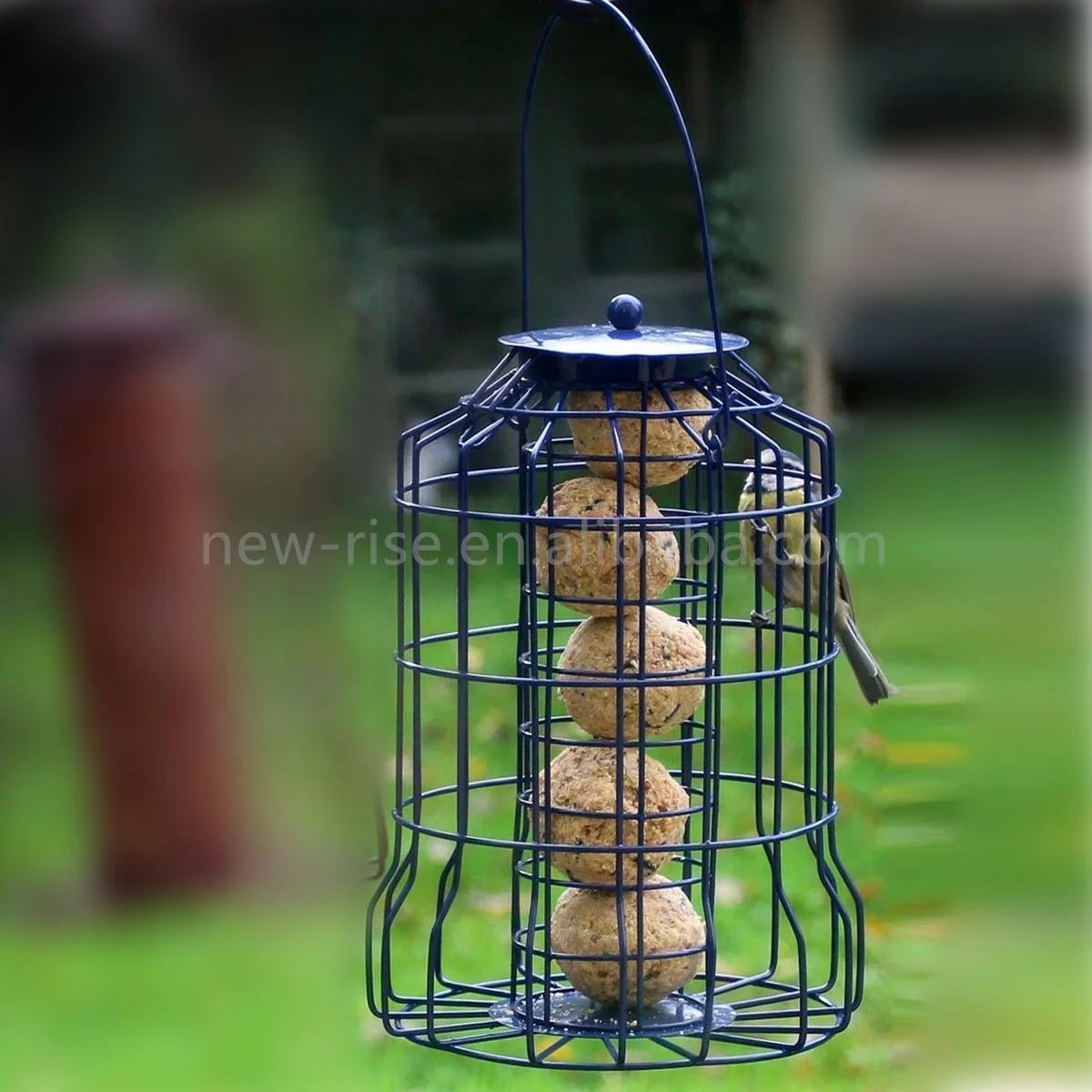 3Pcs Heavy Duty Hanging Birds Feeder Squirrel-proof Caged Dome Suet Tube Nut Seed & Fat Ball Feeders