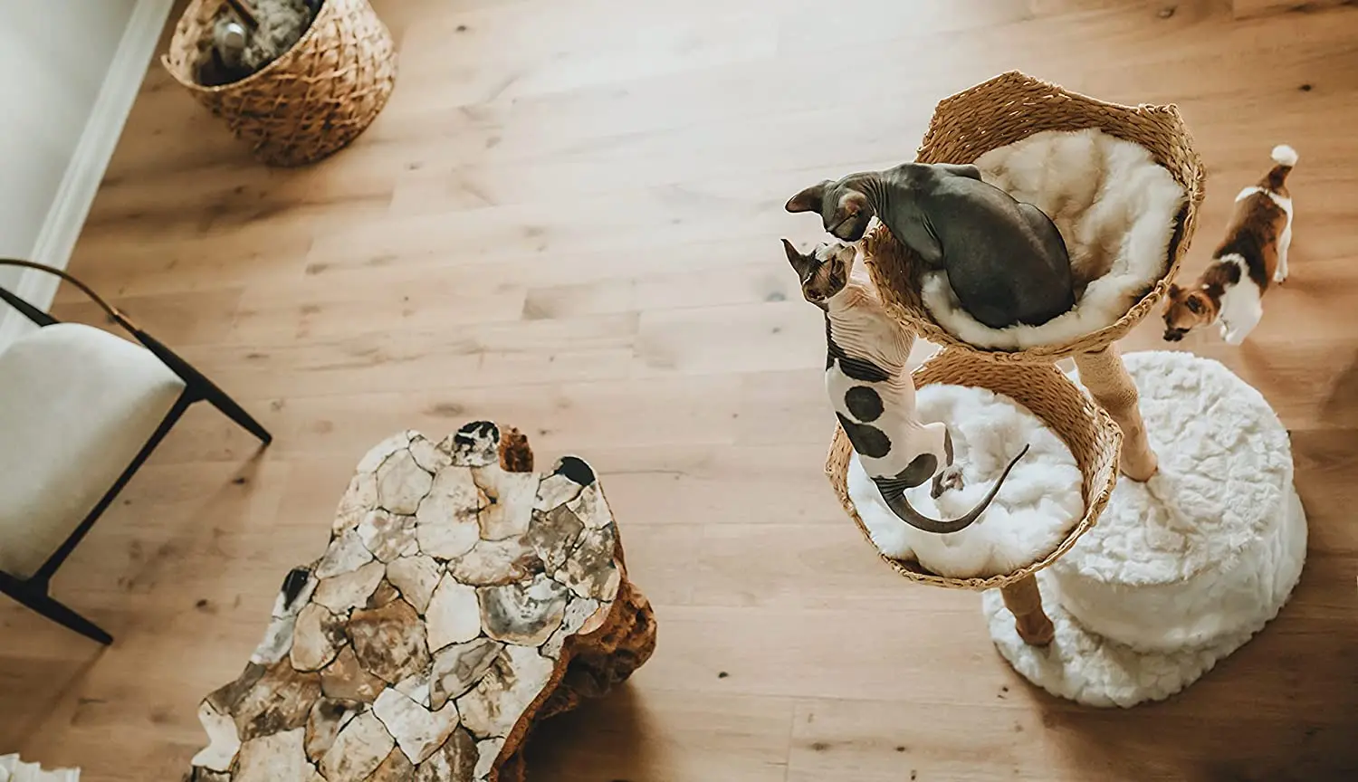 Modern Cat Tree Tower for Large Cats, Real Branch Luxury Wood Cat Tower Scratching Tree, Cat Lover Gift