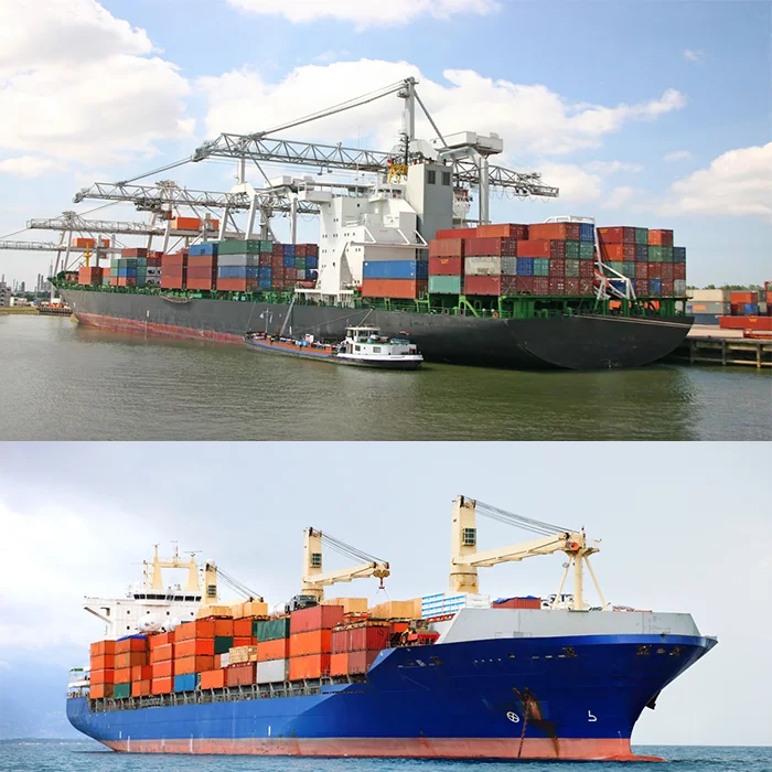 Provide professional customs clearance and tax payment services and sea transportation services to the United Arab Emirates