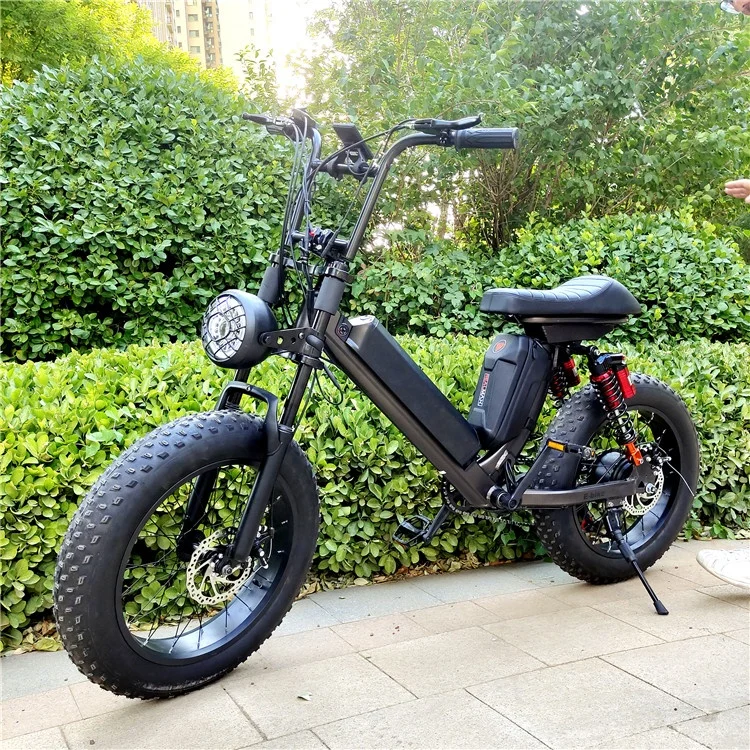 REALMAXS Hot sale 20 inch electric bicycle rear drive 1000w electric city bike electric bike cheap city electric fat bike