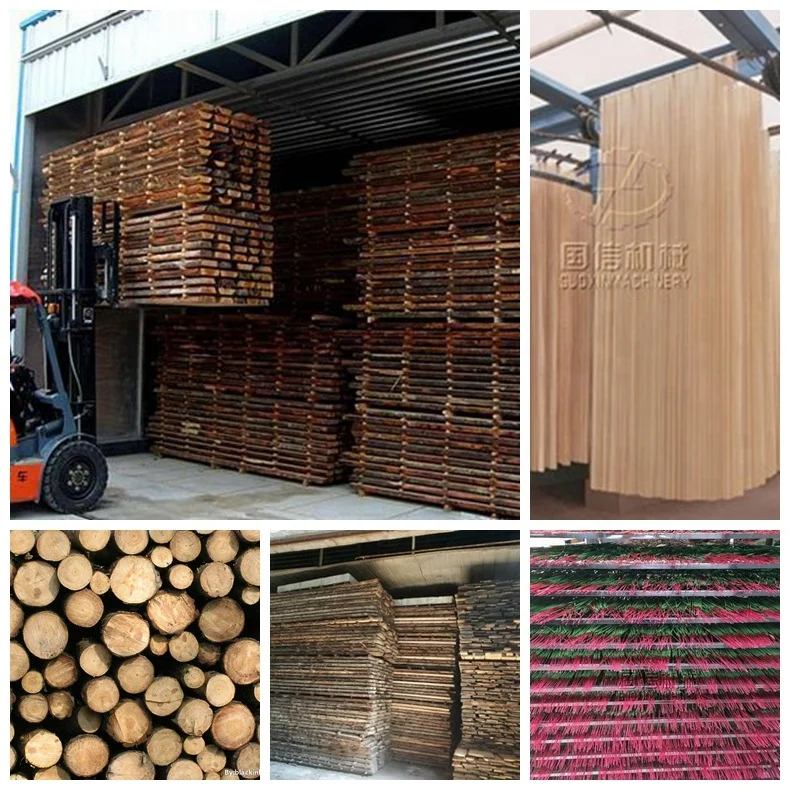 
Guoxin Fruits Drying Heat Pump Dryer Machine For Fruits 