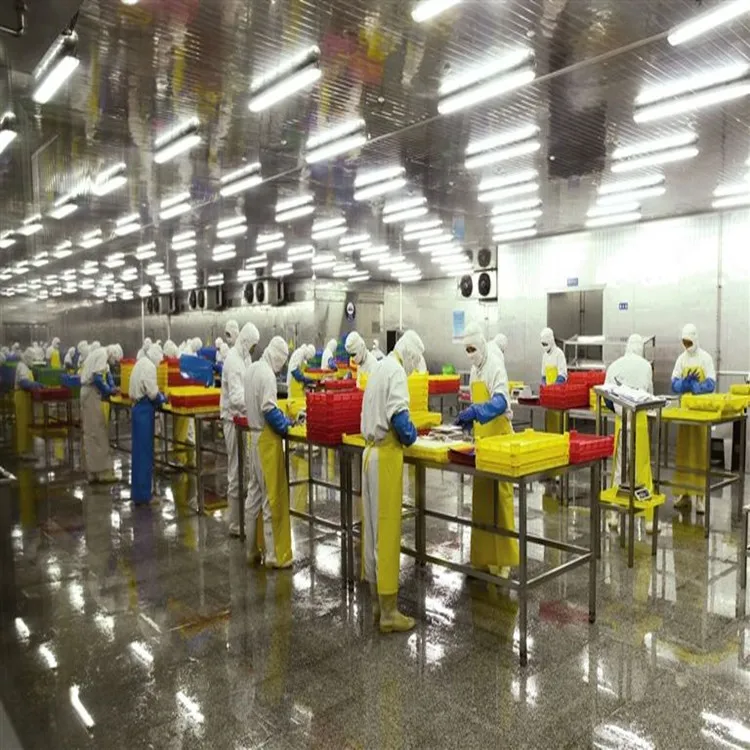 fully automatic canned fish production plant