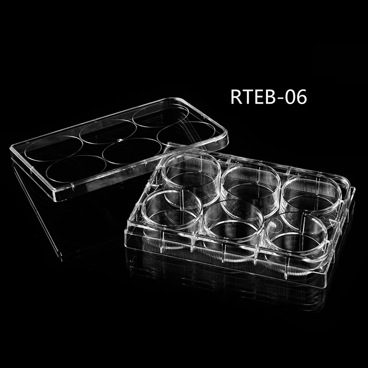RTEB-06.jpg