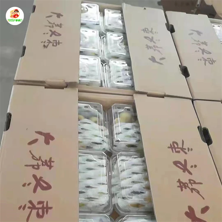 
Fresh winter jujube Hot-sale Fresh Jujube Winter Jujube with good price 