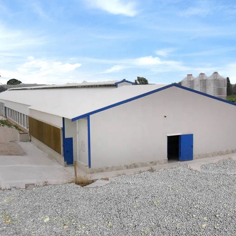 2024 Лидер продаж, недорогой куриный сарай, изготовленный в Китае