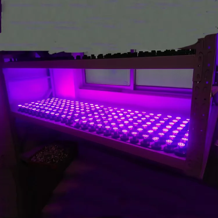 Amusement 36mm e10 24v 60v pixel led fairground e14 socket lamp turbo  110 volt point light.png
