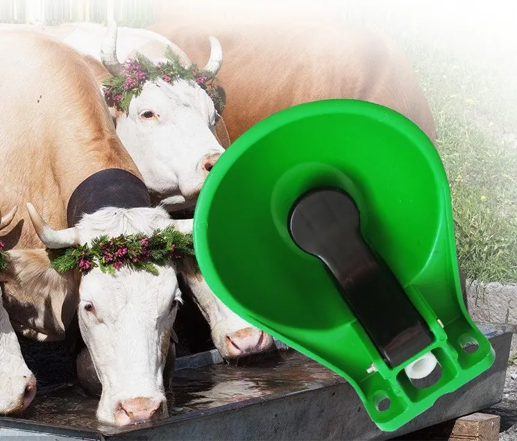 cow auto drinking bowl   goat and sheep drinker bowl
