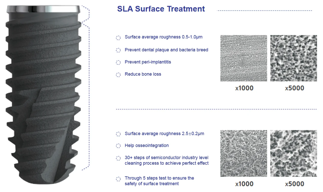 Dental Implant Fixture And Screw And Abutment Implants & Interventional Materials