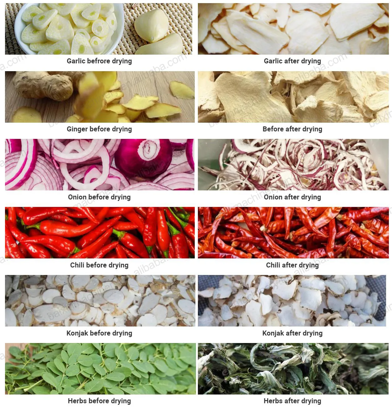 Continuous dryer (2).jpg