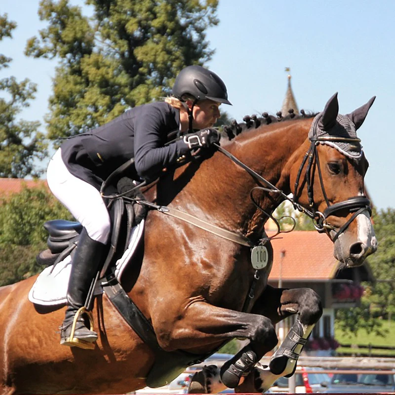 Professional Factory Equestrian Products Equine Leg Ankle Protector Nice Customize Horse Boots Bell Tendon Boots for Horses