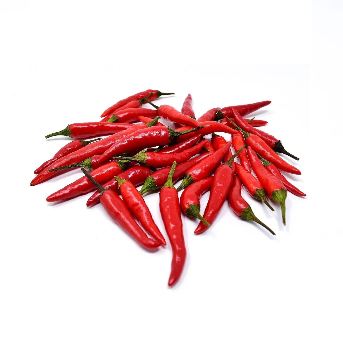 Fresh High Quality Good Price Low MOQ Custom Logo Package Red Chili From Vietnam