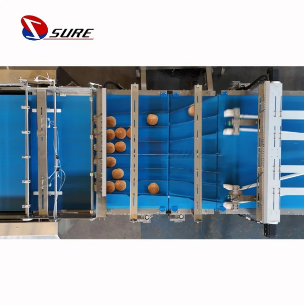 Biscuit Cookies Feeding and Packaging Line Automatic Feeding and Packing Line Automatic Production Line for Cake Packing Machine
