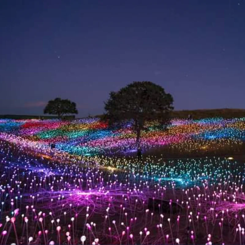 Garden outdoor square path holiday decorative lights LED reed fiber optic ball lights