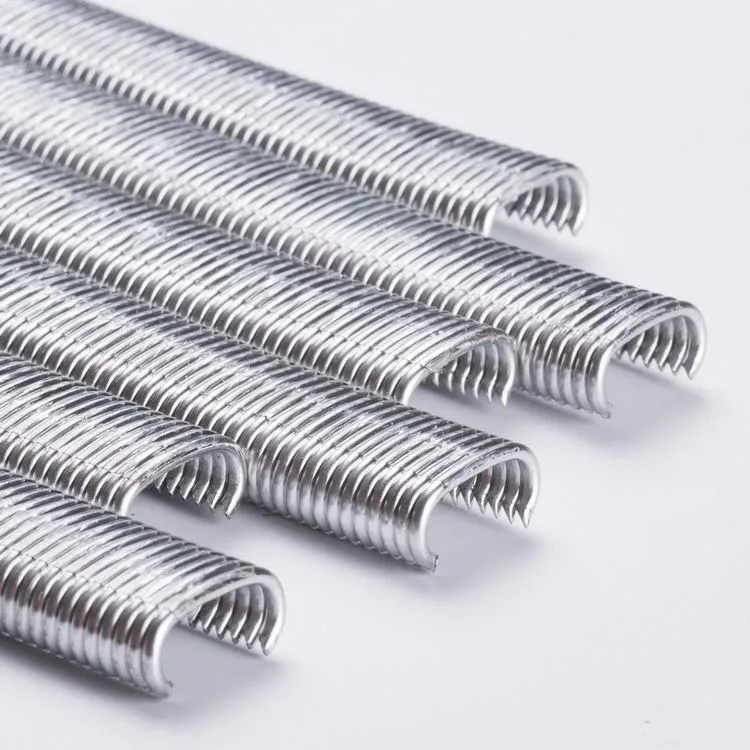 Galvanized Fixing C Ring Nail Hog Ring Smooth Staples Fastener Zinc-coated Silver White Nail C Hog Ring