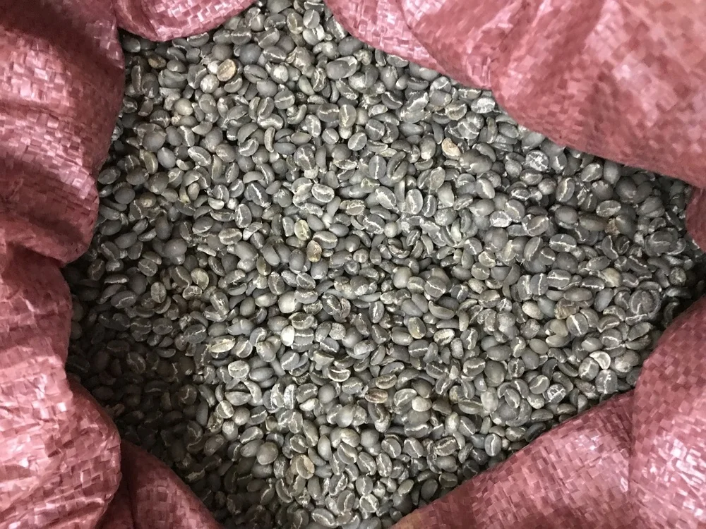 
VietNam High Quality Arabica Green Coffee Bean Cheap Price 
