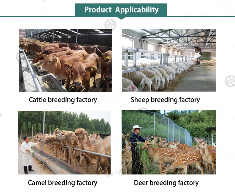 Cow Goat Supplement Sheep Booster Supplier Powder Cow Feed Supplement for Enhanced Milk Production