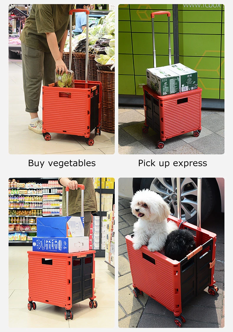 BAOYU Grocery Shopping Cart Push Hand Trolley Foldable Mini Shopping Trolley Basket