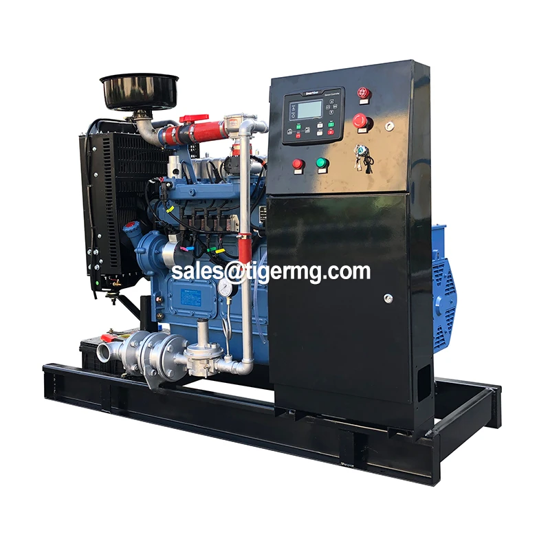 CE approved best selling biogas generator chp 20kw