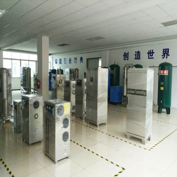 Professional Ozone Machine 60g For Odor Remove Water Purification