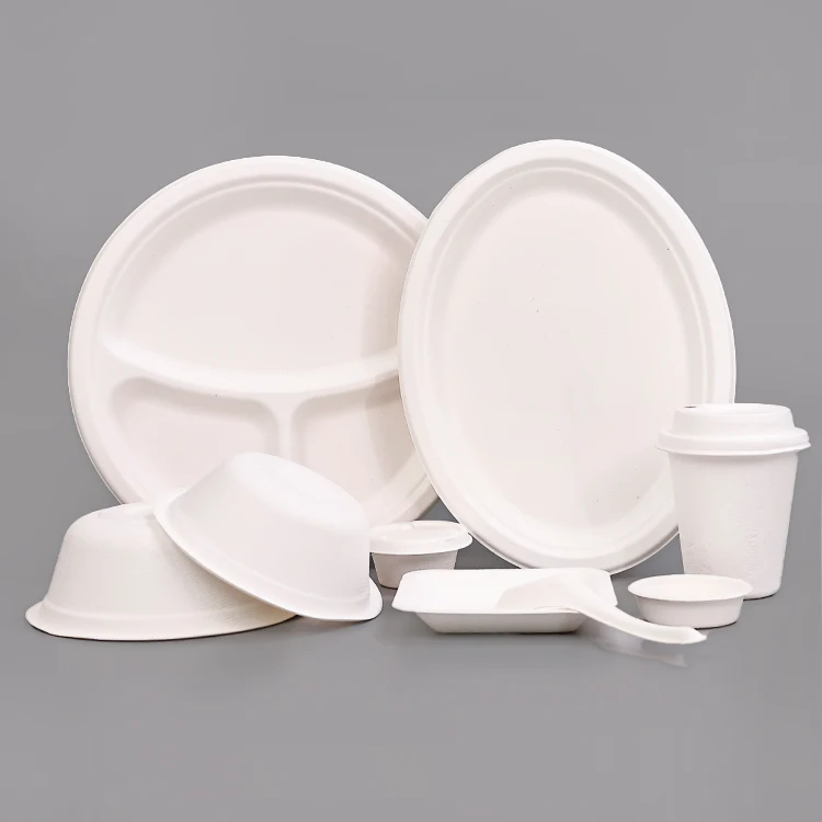 Disposable  dinner plate eco-friendly elegant disposable plates kitchen plates
