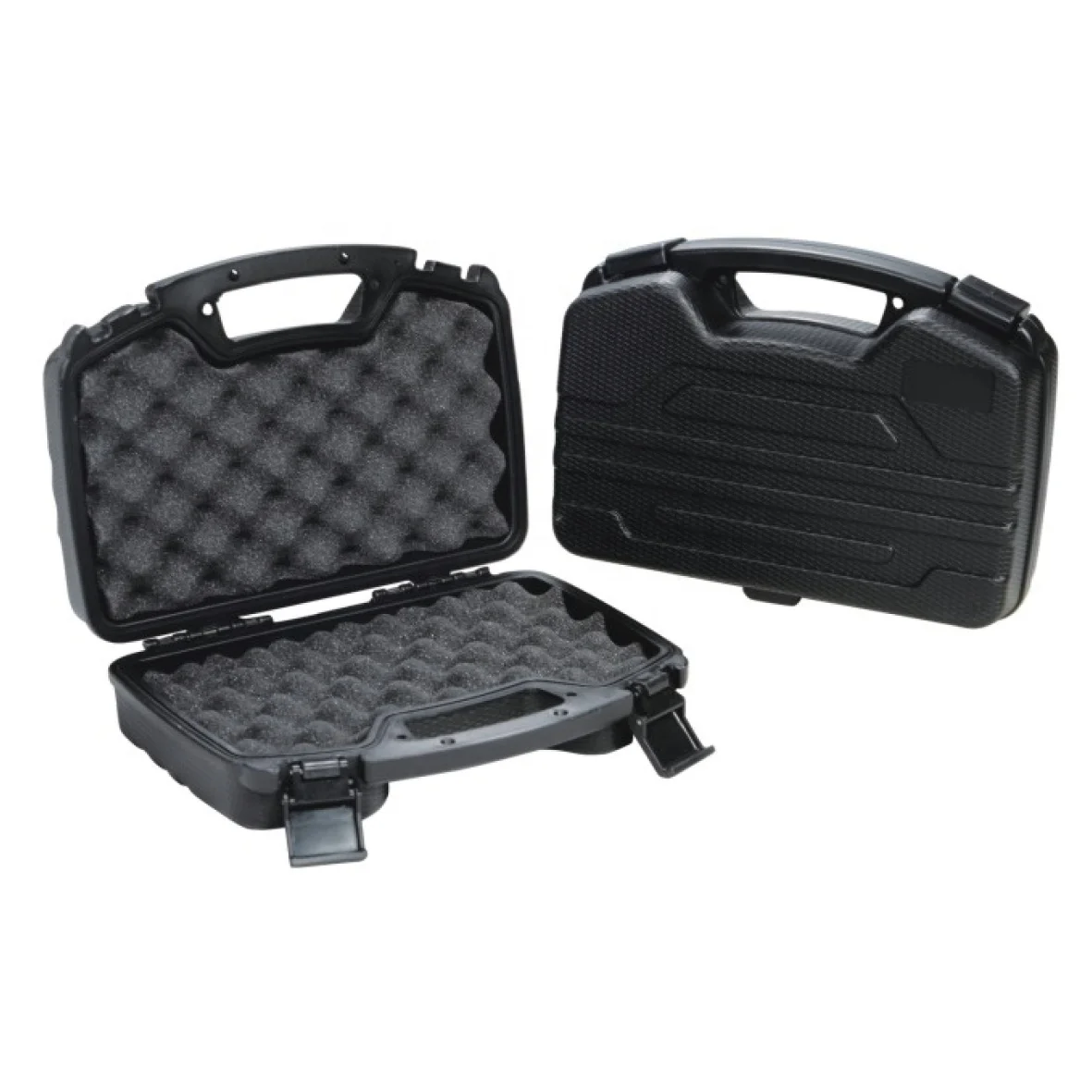 Hard Plastic Gun Case