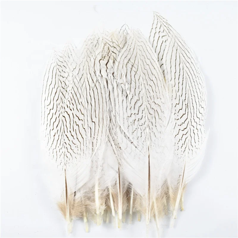 Wholesale 25-30cm Natural Silver Pheasant Feathers Dyed White for Carnival Decoration Handmade PEACOCK FLY Tying Pattern-Washed