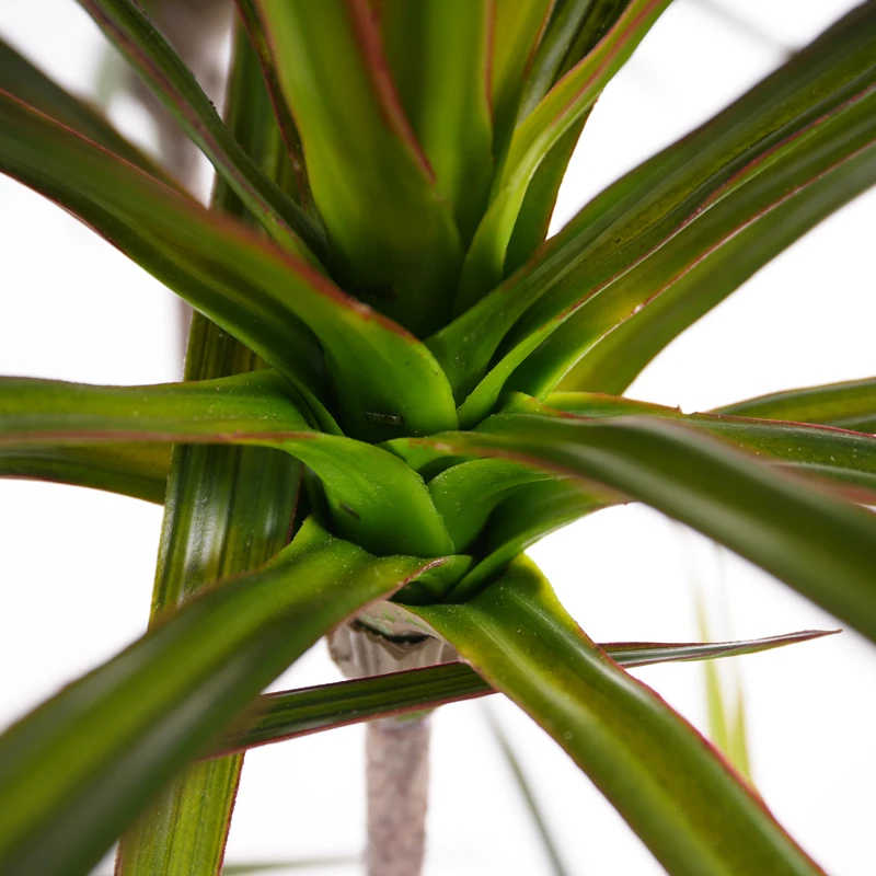 China factory 145cm/4.75ft/57in Artificial Plastic Dracaena Marginata Tree Elegant Plant tree Design for Indoor Outdoor Decor