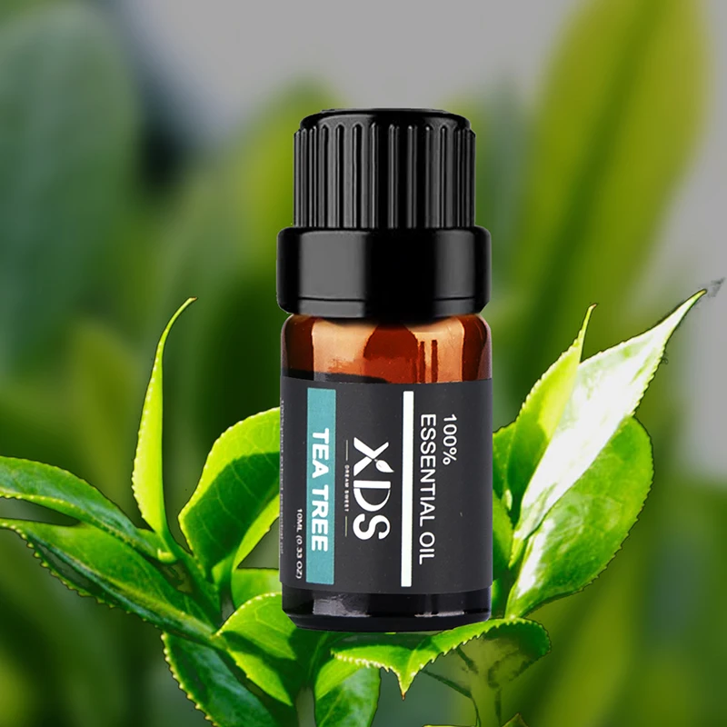 rosemary essential oil essential oils private label 100% pure aromatherapy essential oil