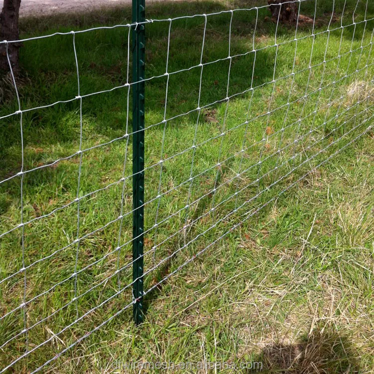 Factory Suppliers 7/90/30 200m roll Galvanized hinge Knot Wire Mesh Farm Fence for Deer Cattle Horse