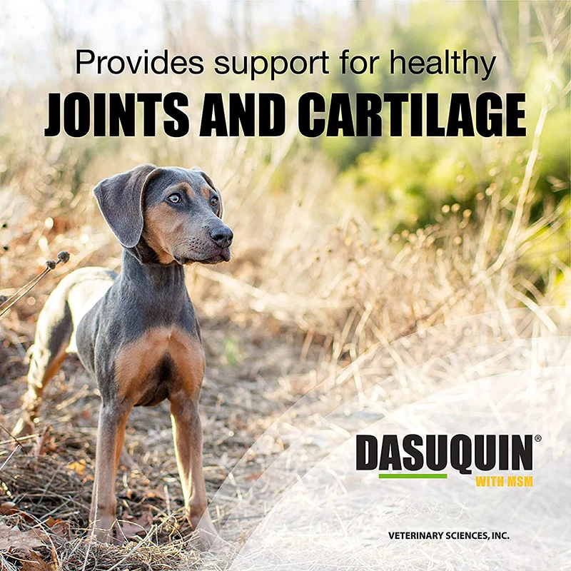 Pet Health Joint Supplement Tablets Provides Support for Healthy Joints and Cartilage for Pet Joint Health