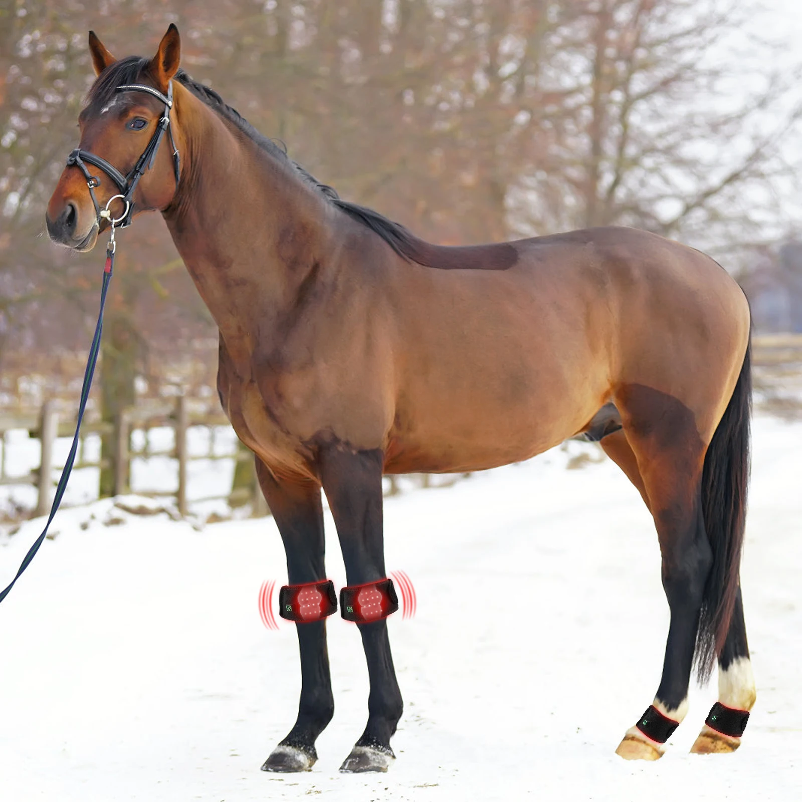 Anredar Red Light and Near Infrared Equine Light Therapy Pads for Horse