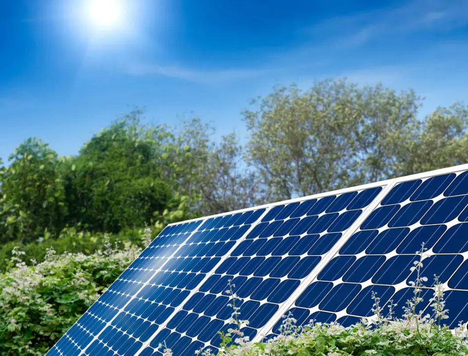 Машина для нарезки вафель