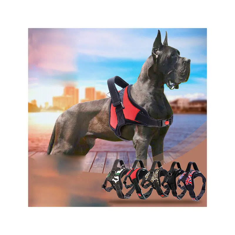 Осенний дизайнерский комплект жгутов для собак, индивидуальный комплект жгутов для собак