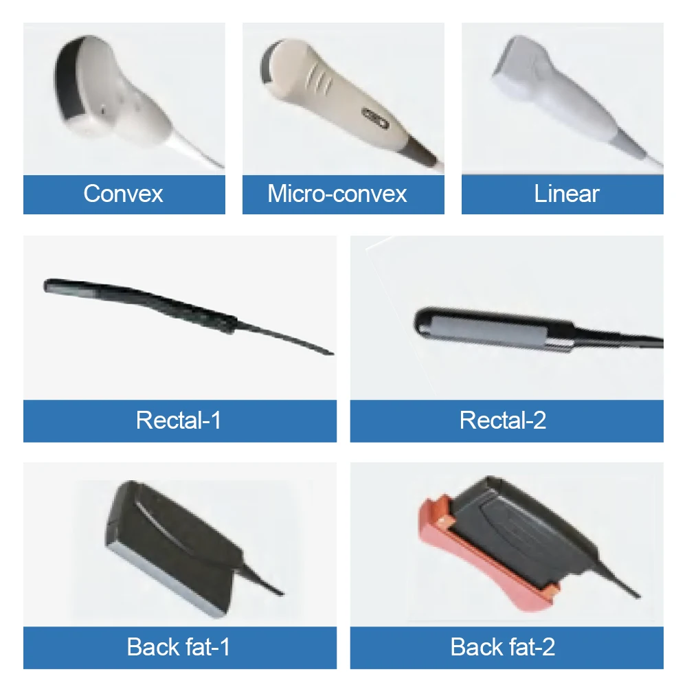 Petiro S1 Ultrasound Scanner For Equine Diagnostic Ultrasound Equine Pregnancy Test Handheld Veterinary Ultrasound