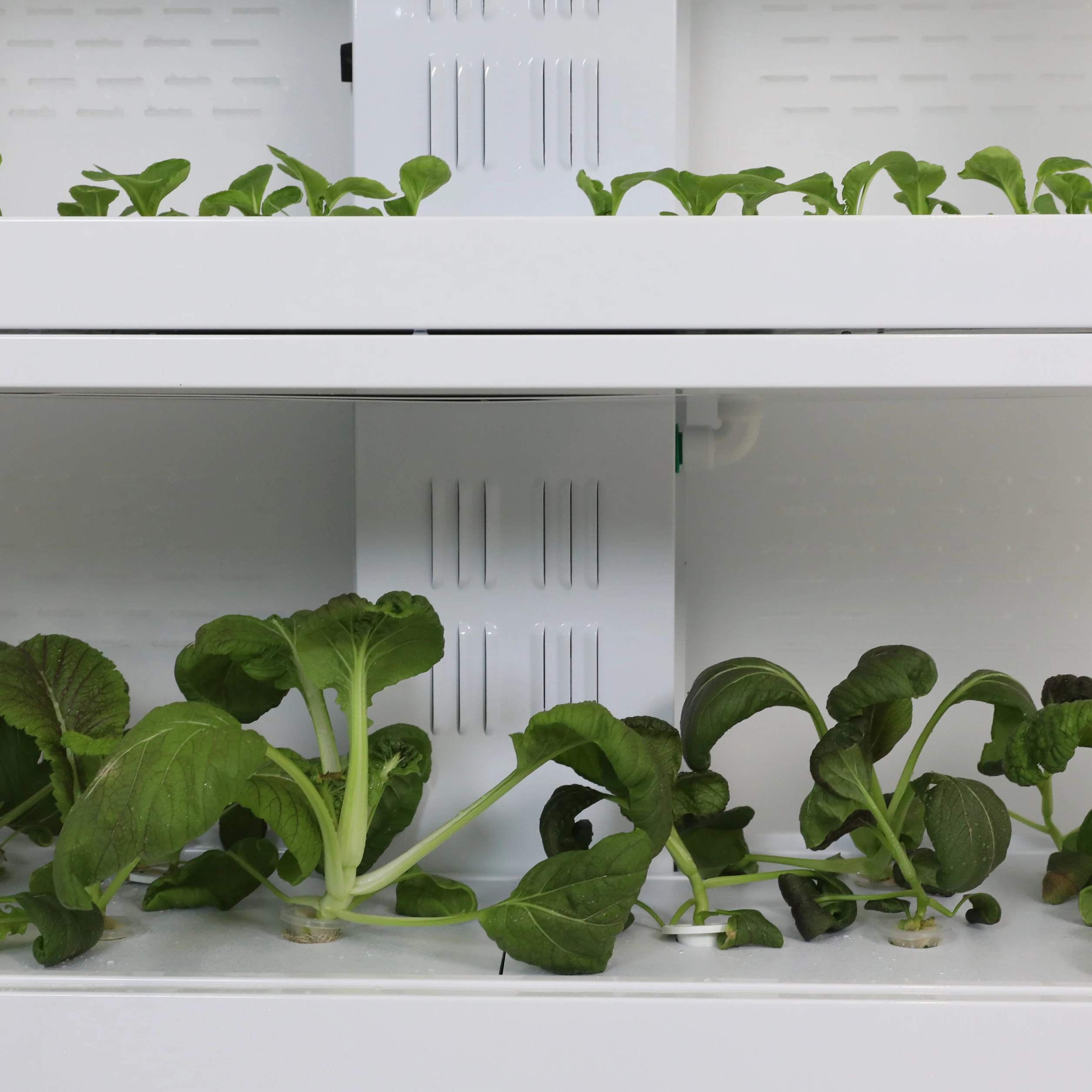 Multi-functional hydroponic water farm planting system cabinet with glass or acrylic