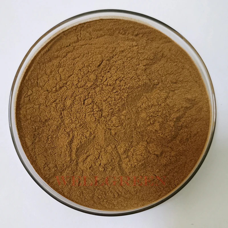 
Honeysuckle Flower Extract/Lonicera Japonica Extract/Flos Lonicerae extract 