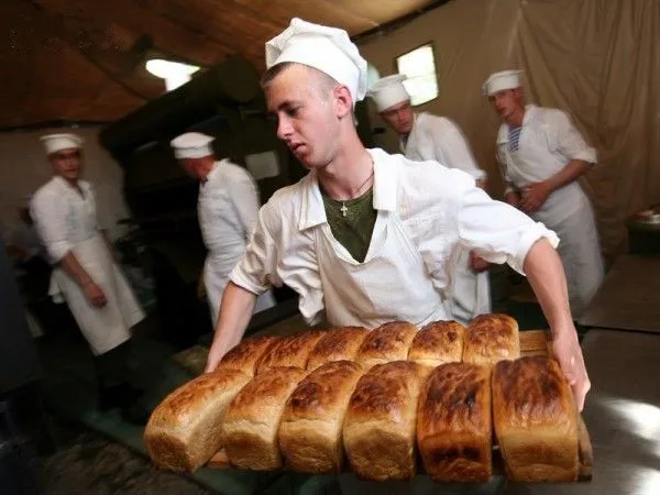 wood fired oven moving freedom combi oven more frugal energy auto painting oven made of stainless steel