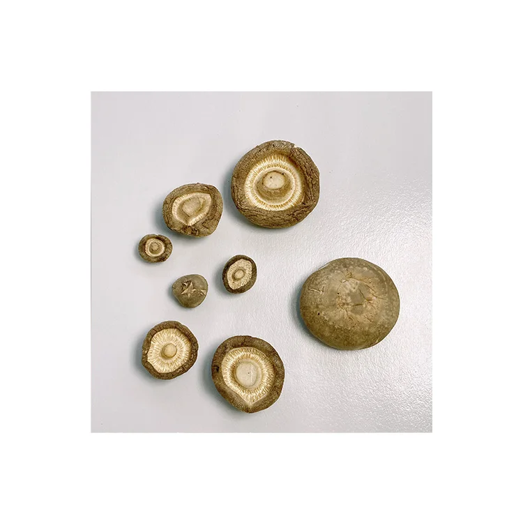China Manufacture Fine Tawny High Quality Organic Crisp Dried Shiitake Mushrooms