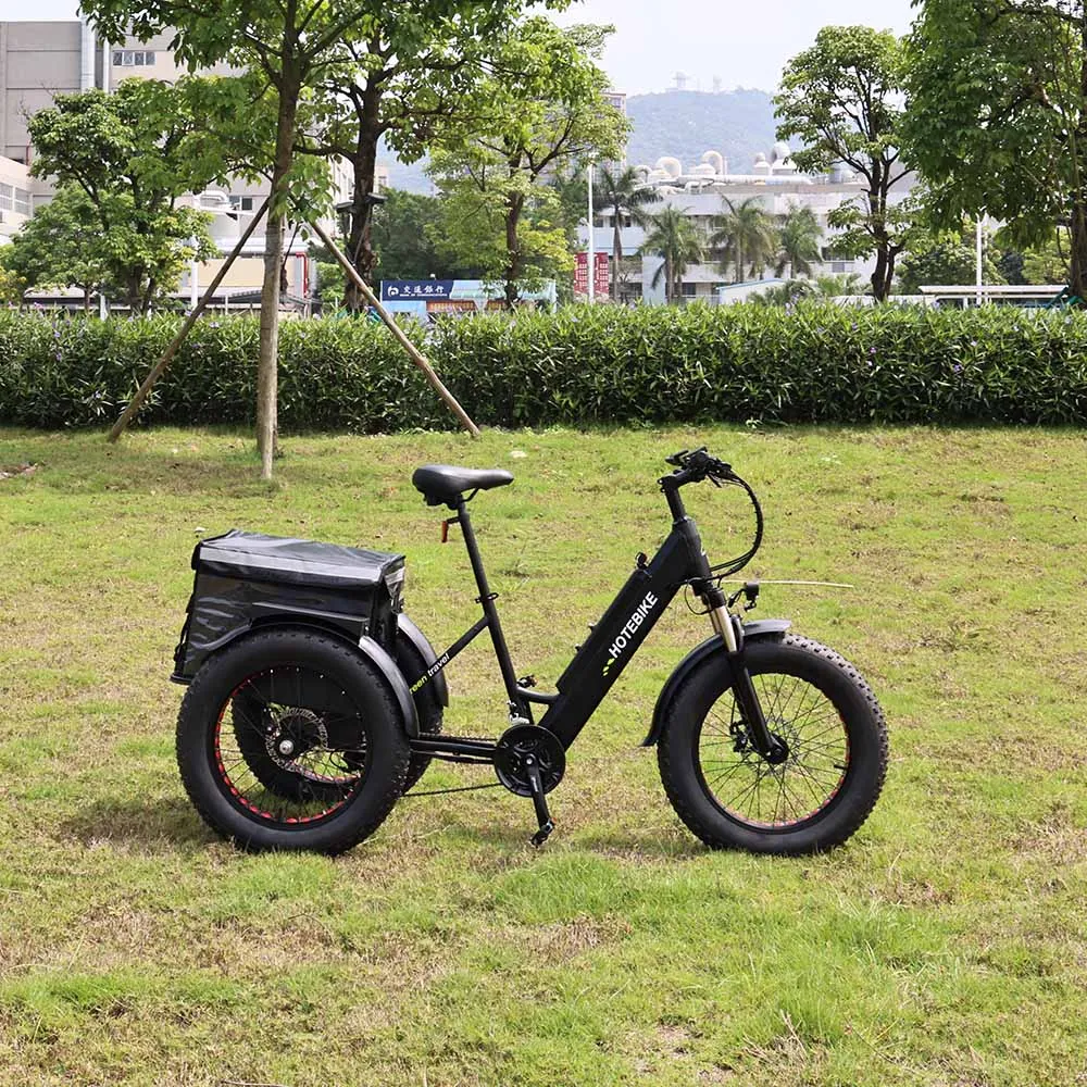 New Design 3 wheel electric bike ET250 cheap electric tricycle 20 inch 36V 250W motor electric bike with 3 wheels
