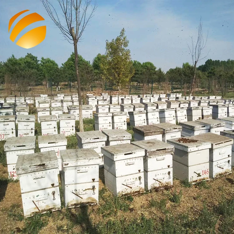100% натуральный пчелиный мед, одобренный GMP
