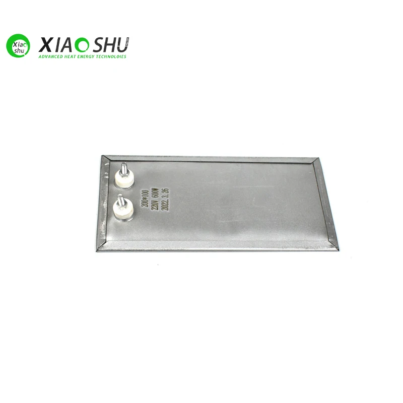 XIAOSHU High Quality 220V 600W 200*100mm Electric Flat Mica Heater Heating Plate with Lead Wire
