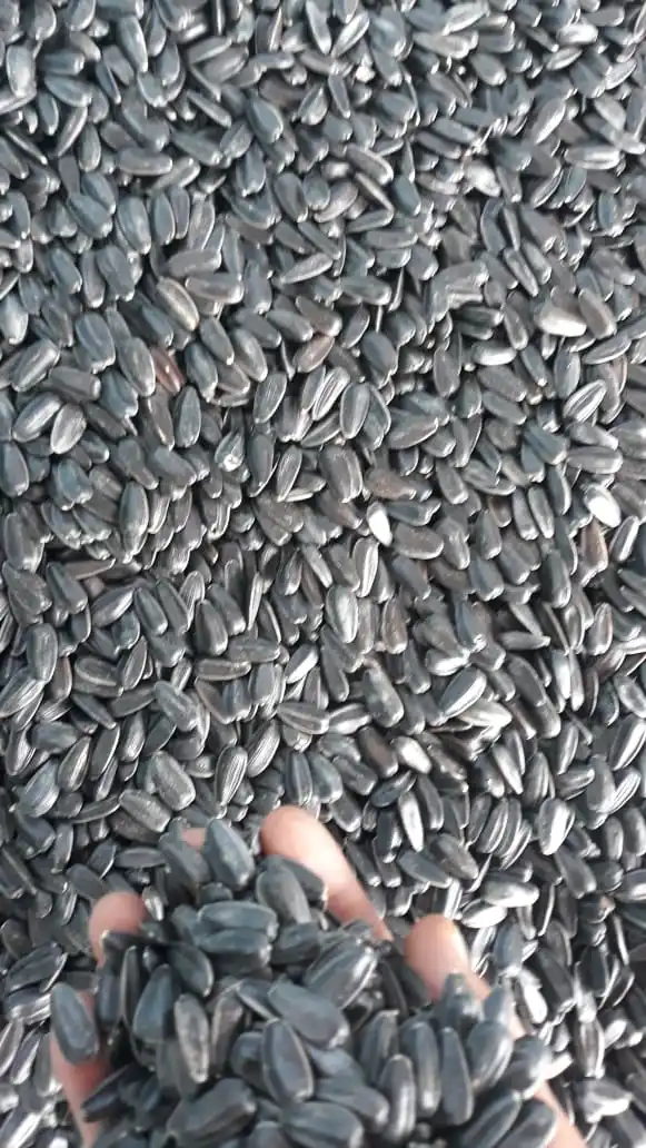 Black Sunflower Seeds  Hot Selling Black Sunflower Seeds Nuts Naturaw Raw Packaging Food New Crop Bulgarian Origin